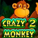 Ігровий автомат Crazy Monkey 2